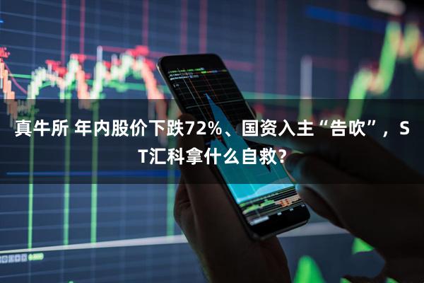 真牛所 年内股价下跌72%、国资入主“告吹”，ST汇科拿什么自救？